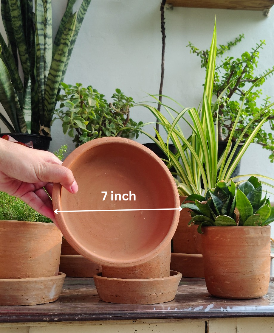 Set of 2 - Mini 6" Terracotta Planter with plates