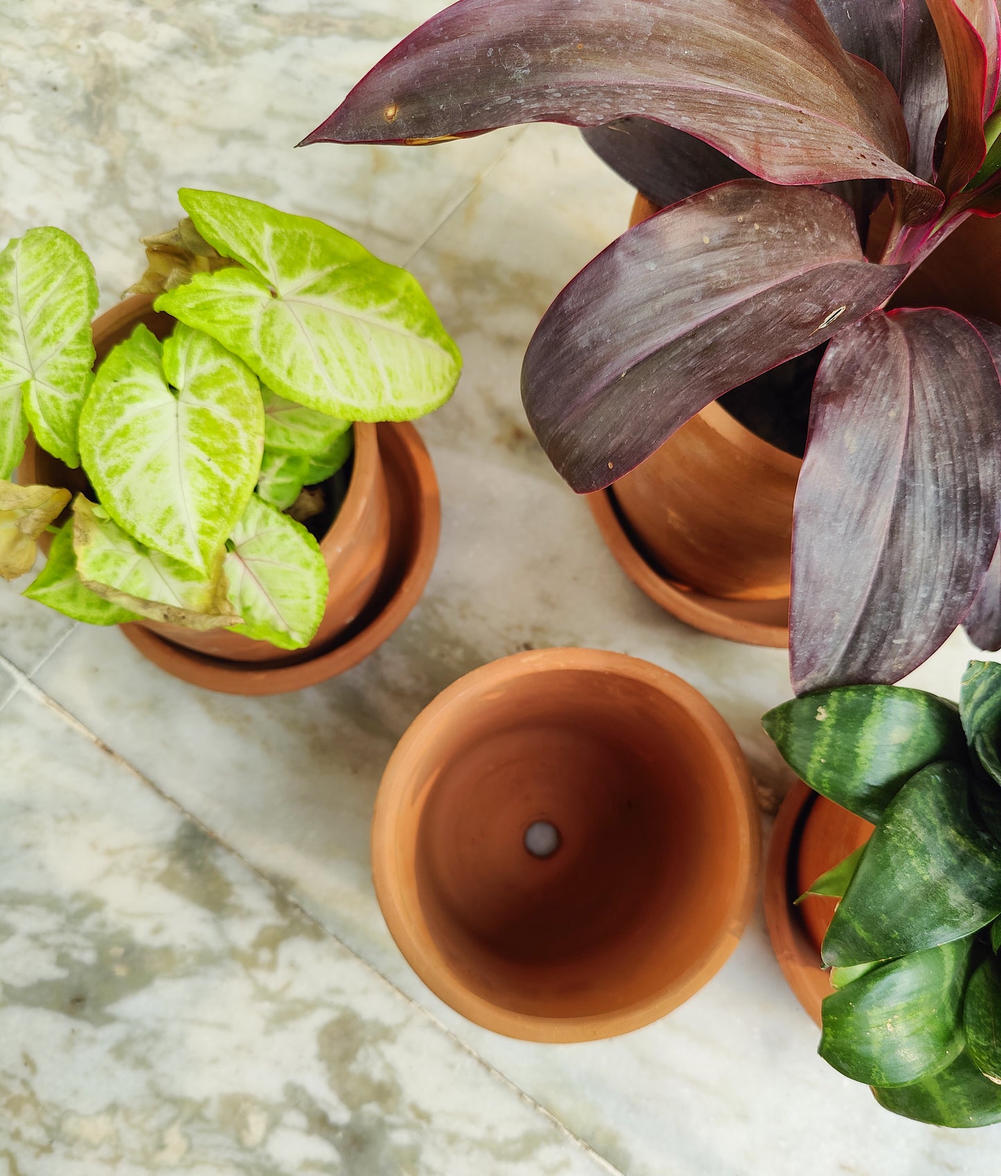 Set of 2 - Mini 6" Terracotta Planter with plates