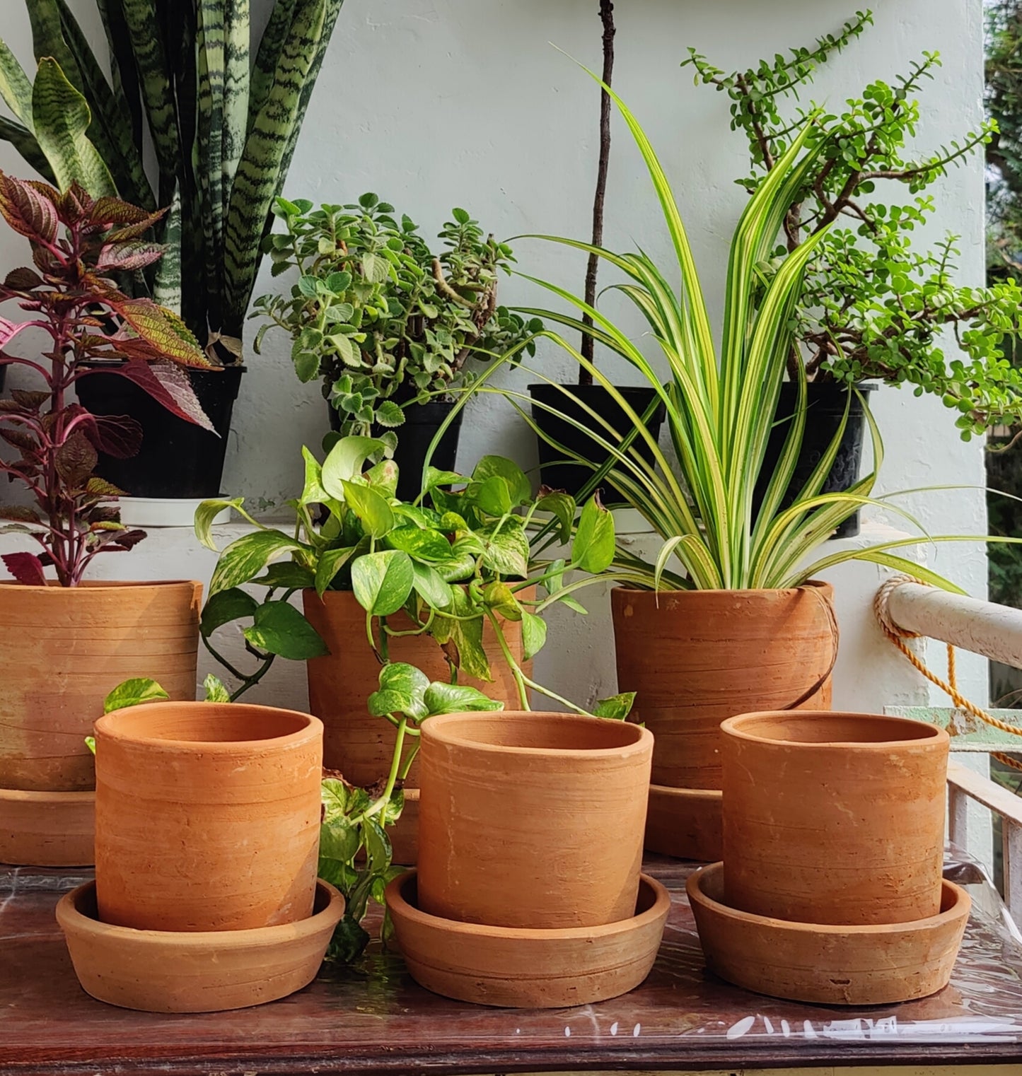 Set of 2 - Mini 6" Terracotta Planter with plates